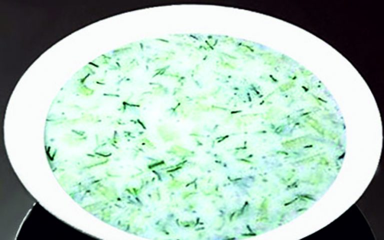 Огірковий холодник